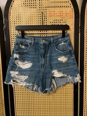American Eagle Distressed Denim Cutoff Shorts